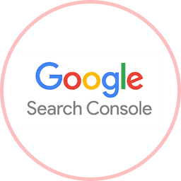 Google Search Console icon