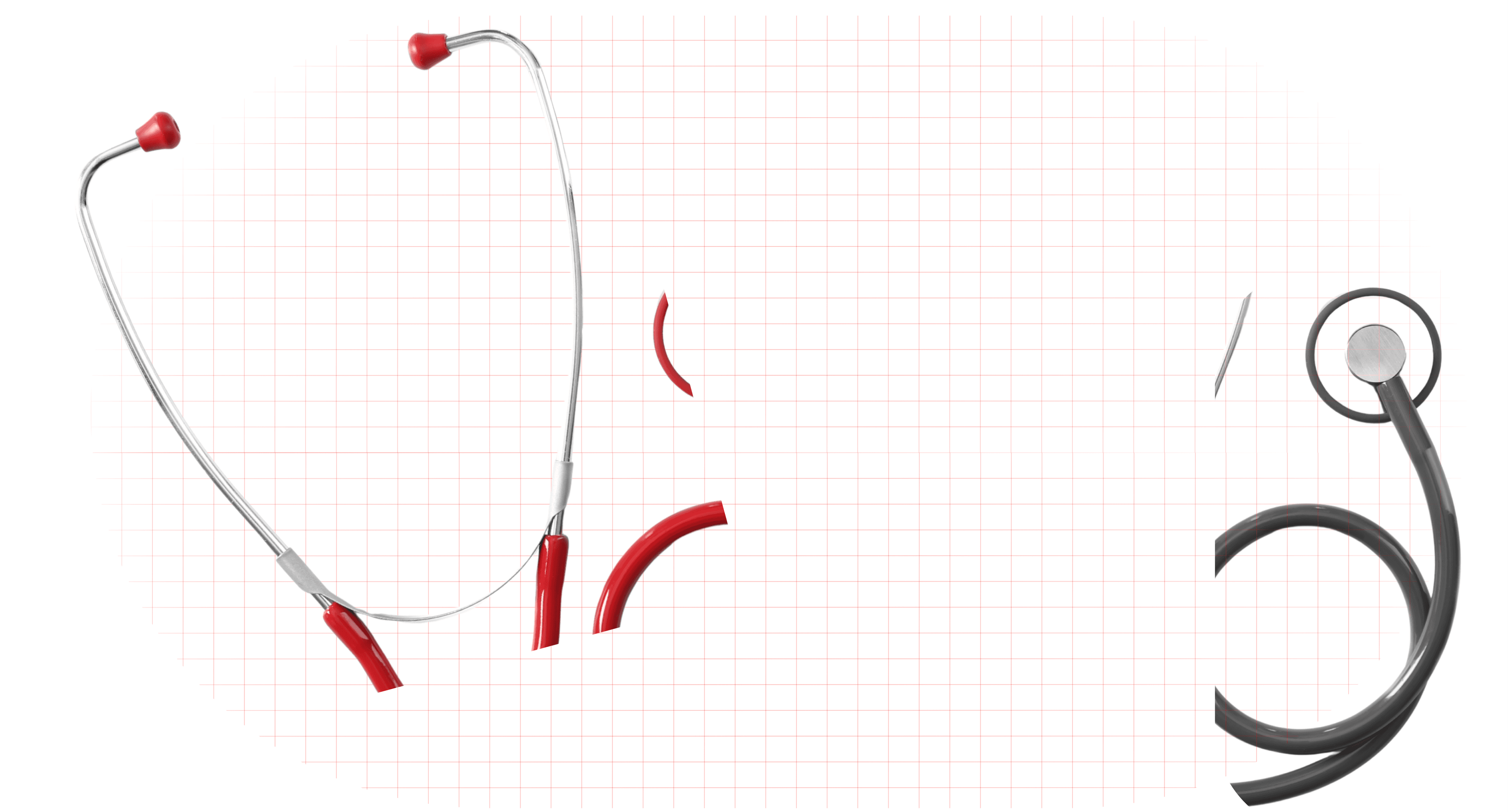 hero-section-border-lines