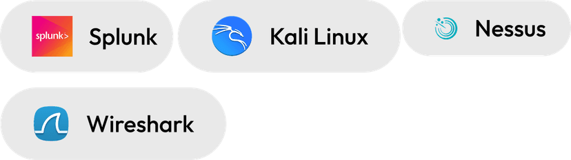 Cybersecurity Experts icon