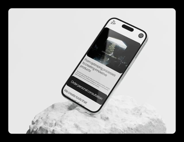 Software consultant dashboard displaying project analytics and strategic development planning tools.