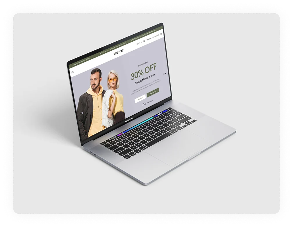 Dropshipping website developer interface displaying supplier connections and automated order processing.