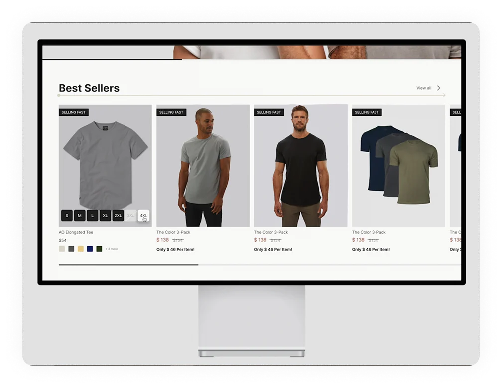 Ecommerce website development services dashboard showing store management and sales analytics tools